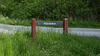 Nationalpark Thy - Hundeskove